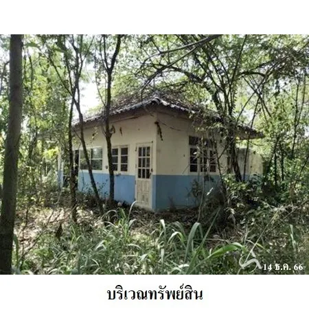 ที่ดินเปล่า พิมาย นครราชสีมา 10-0-31ไร่ - 6