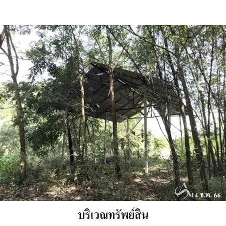 ที่ดินเปล่า พิมาย นครราชสีมา 10-0-31ไร่ - 7