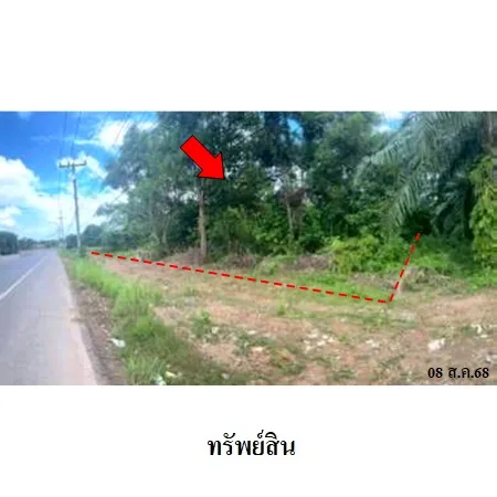 ที่ดินเปล่า ละงู สตูล 5-0-54ไร่ - 4