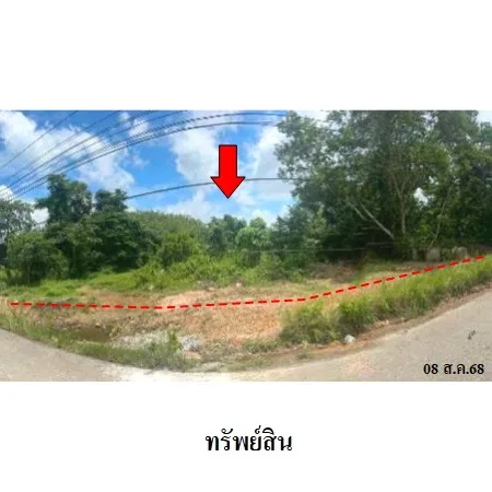 ที่ดินเปล่า ละงู สตูล 5-0-54ไร่ - 5