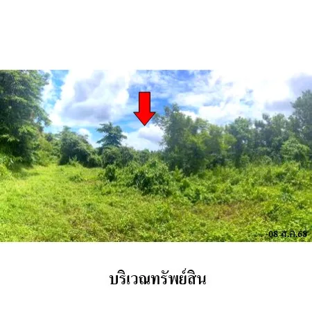 ที่ดินเปล่า ละงู สตูล 5-0-54ไร่ - 7