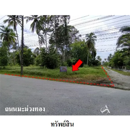 ที่ดินเปล่า เมือง นครศรีธรรมราช 4-0-79ไร่