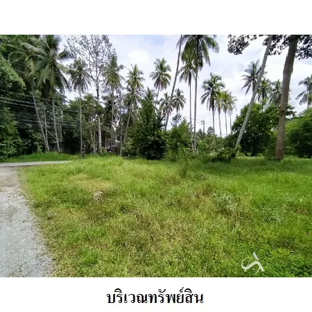 ที่ดินเปล่า เมือง นครศรีธรรมราช 4-0-79ไร่ - 4