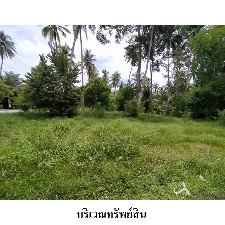 ที่ดินเปล่า เมือง นครศรีธรรมราช 4-0-79ไร่ - 6