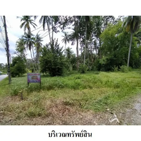 ที่ดินเปล่า เมือง นครศรีธรรมราช 4-0-79ไร่ - 8