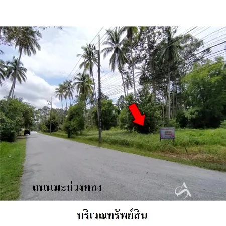 ที่ดินเปล่า เมือง นครศรีธรรมราช 4-0-79ไร่ - 9