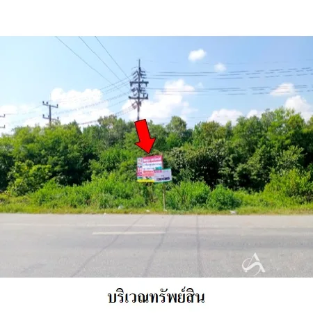 ที่ดินเปล่า ระโนด สงขลา 2-0-0ไร่