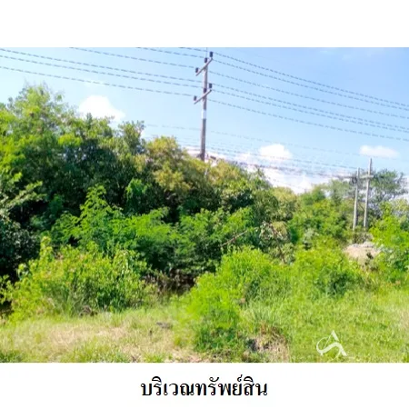 ที่ดินเปล่า ระโนด สงขลา 2-0-0ไร่ - 5