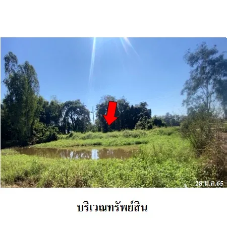 ที่ดินเปล่า พาน เชียงราย 16-2-13ไร่ - 3