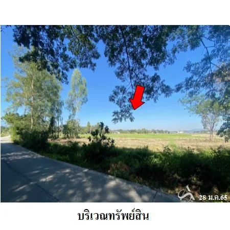 ที่ดินเปล่า พาน เชียงราย 16-2-13ไร่ - 5