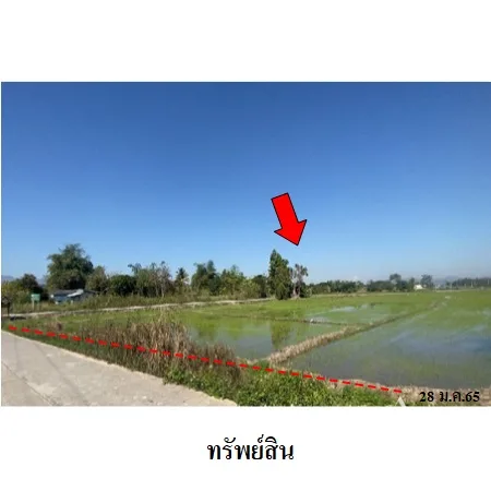 ที่ดินเปล่า พาน เชียงราย 16-2-13ไร่ - 9
