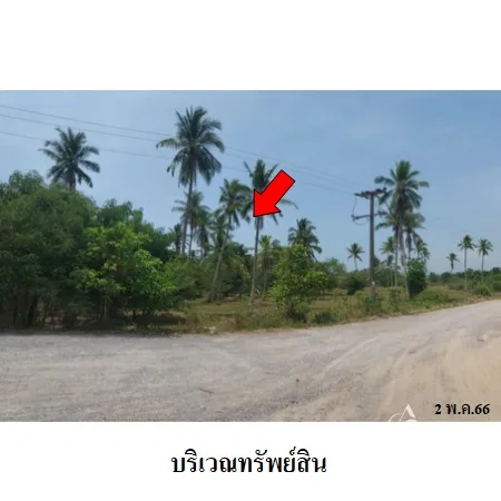 ที่ดินเปล่า บางสะพาน ประจวบคีรีขันธ์ 9-2-16ไร่ - 5