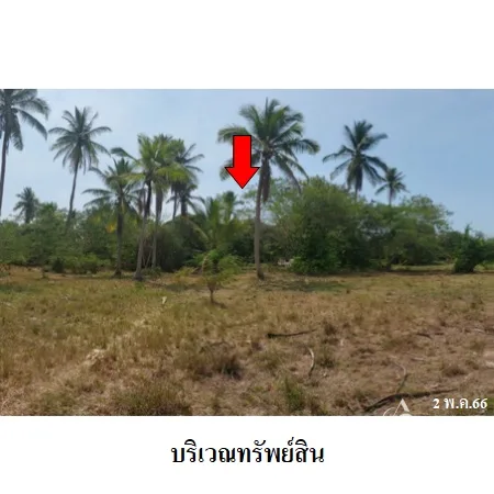 ที่ดินเปล่า บางสะพาน ประจวบคีรีขันธ์ 9-2-16ไร่ - 6