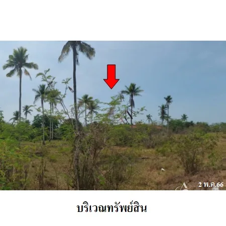 ที่ดินเปล่า บางสะพาน ประจวบคีรีขันธ์ 9-2-16ไร่ - 7