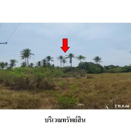 ที่ดินเปล่า บางสะพาน ประจวบคีรีขันธ์ 9-2-16ไร่ - 8