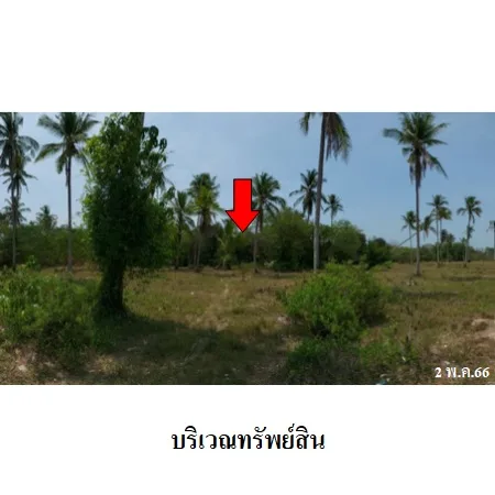 ที่ดินเปล่า บางสะพาน ประจวบคีรีขันธ์ 9-2-16ไร่ - 9