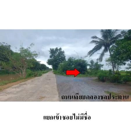 ที่ดินเปล่า บางระจัน สิงห์บุรี 14-1-26ไร่ - 5