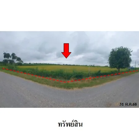ที่ดินเปล่า บางระจัน สิงห์บุรี 14-1-26ไร่ - 7
