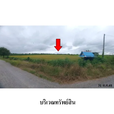 ที่ดินเปล่า บางระจัน สิงห์บุรี 14-1-26ไร่ - 8