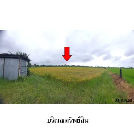 ที่ดินเปล่า บางระจัน สิงห์บุรี 14-1-26ไร่ - 9
