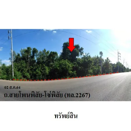 ที่ดินเปล่า โพนพิสัย หนองคาย 6-0-0ไร่ - 2