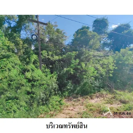 ที่ดินเปล่า โพนพิสัย หนองคาย 6-0-0ไร่ - 6