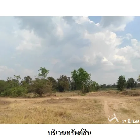ที่ดินเปล่า ปราสาท สุรินทร์ 1-3-49ไร่ - 3