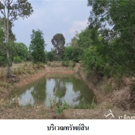 ที่ดินเปล่า ปราสาท สุรินทร์ 1-3-49ไร่ - 4