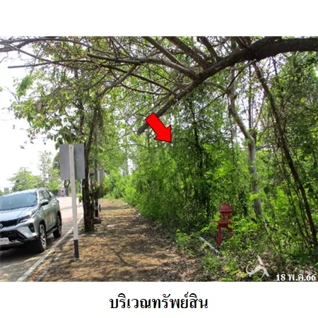 ที่ดินเปล่า งาว ลำปาง 8-2-56ไร่ - 3
