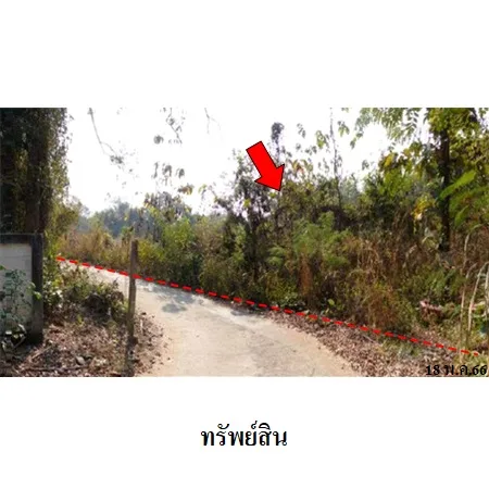 ที่ดินเปล่า งาว ลำปาง 8-2-56ไร่ - 6