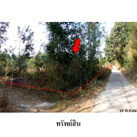 ที่ดินเปล่า งาว ลำปาง 8-2-56ไร่ - 7