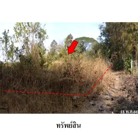 ที่ดินเปล่า งาว ลำปาง 8-2-56ไร่ - 8