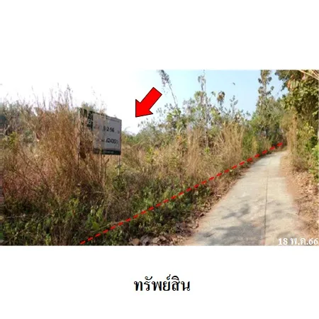 ที่ดินเปล่า งาว ลำปาง 8-2-56ไร่ - 9