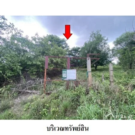ที่ดินเปล่า โกสุมพิสัย มหาสารคาม 38-2-86ไร่ - 3