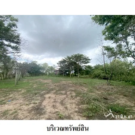 ที่ดินเปล่า โกสุมพิสัย มหาสารคาม 38-2-86ไร่ - 4