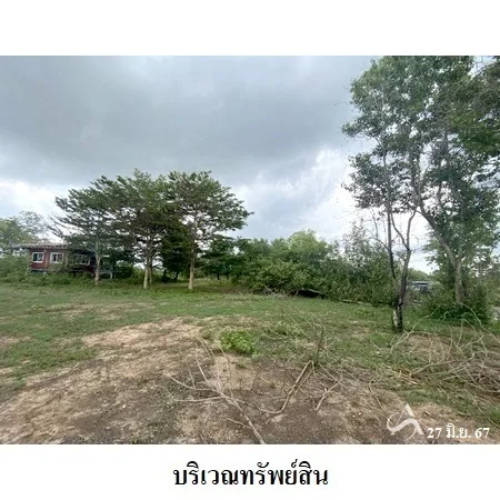 ที่ดินเปล่า โกสุมพิสัย มหาสารคาม 38-2-86ไร่ - 5