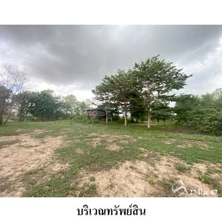 ที่ดินเปล่า โกสุมพิสัย มหาสารคาม 38-2-86ไร่ - 6