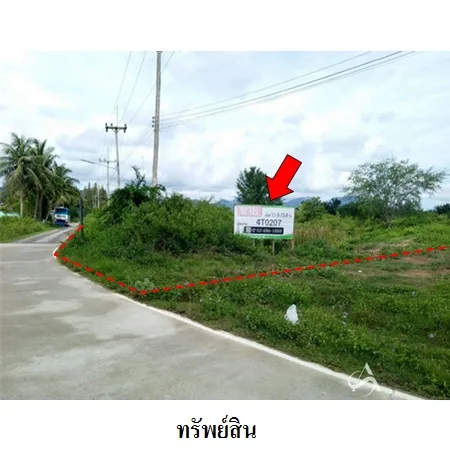 ที่ดินเปล่า สามร้อยยอด ประจวบคีรีขันธ์ 11-3-73.8ไร่