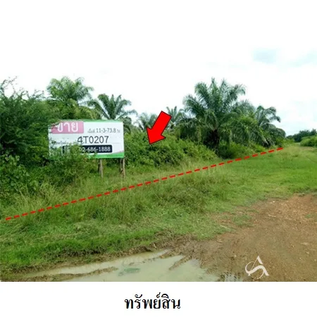 ที่ดินเปล่า สามร้อยยอด ประจวบคีรีขันธ์ 11-3-73.8ไร่ - 3