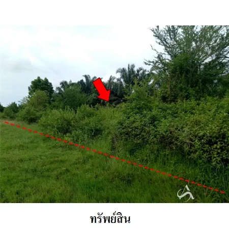 ที่ดินเปล่า สามร้อยยอด ประจวบคีรีขันธ์ 11-3-73.8ไร่ - 4