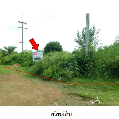 ที่ดินเปล่า สามร้อยยอด ประจวบคีรีขันธ์ 11-3-73.8ไร่ - 7