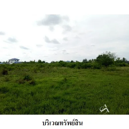ที่ดินเปล่า สามร้อยยอด ประจวบคีรีขันธ์ 11-3-73.8ไร่ - 8