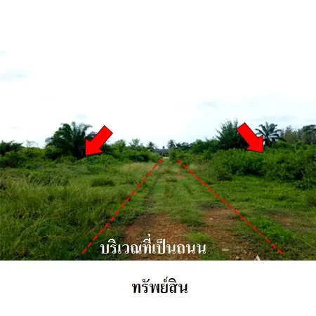ที่ดินเปล่า สามร้อยยอด ประจวบคีรีขันธ์ 11-3-73.8ไร่ - 9