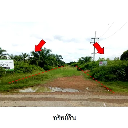 ที่ดินเปล่า สามร้อยยอด ประจวบคีรีขันธ์ 11-3-73.8ไร่ - 10