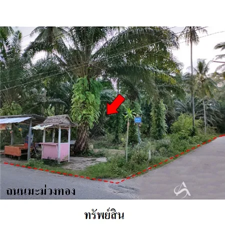ที่ดินเปล่า เมือง นครศรีธรรมราช 3-3-82.9ไร่