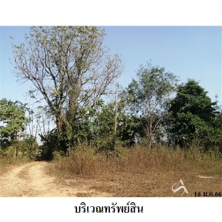 ที่ดินเปล่า เขาย้อย เพชรบุรี 8-3-35.9ไร่ - 2