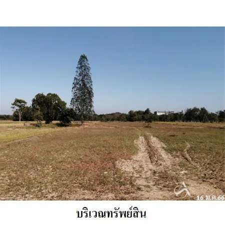 ที่ดินเปล่า เขาย้อย เพชรบุรี 8-3-35.9ไร่ - 3