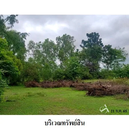 ที่ดินเปล่า ลำปลายมาศ บุรีรัมย์ 4-0-65ไร่ - 2
