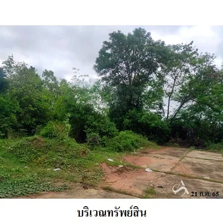 ที่ดินเปล่า ลำปลายมาศ บุรีรัมย์ 4-0-65ไร่ - 4