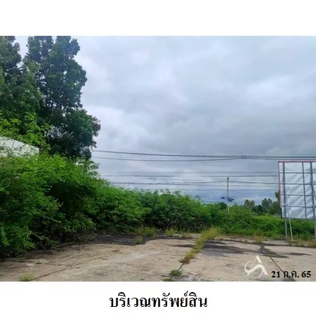 ที่ดินเปล่า ลำปลายมาศ บุรีรัมย์ 4-0-65ไร่ - 5